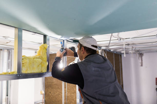 Best Energy Efficiency Insulation in Buckhead Ridge, FL