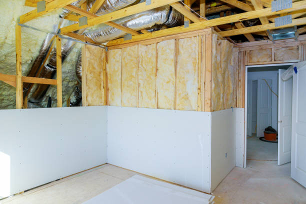 Best Residential Insulation in Buckhead Ridge, FL