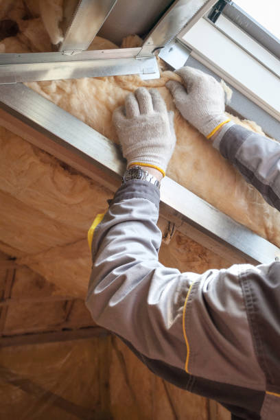 Best Geographic-Specific Insulation Services in Buckhead Ridge, FL