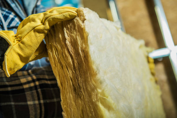 Professional Insulation Contractor in Buckhead Ridge, FL